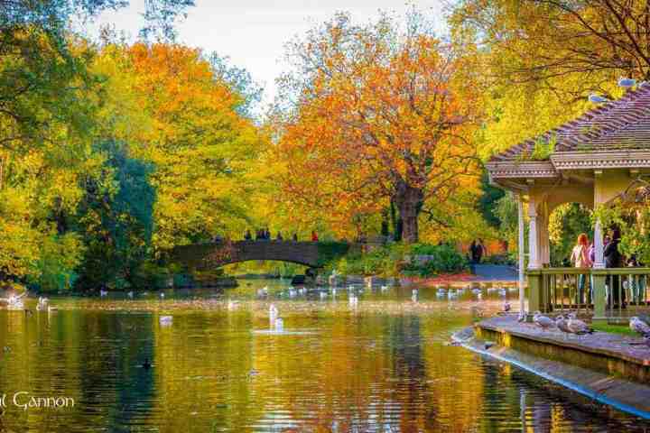 a small boat in a body of water surrounded by trees